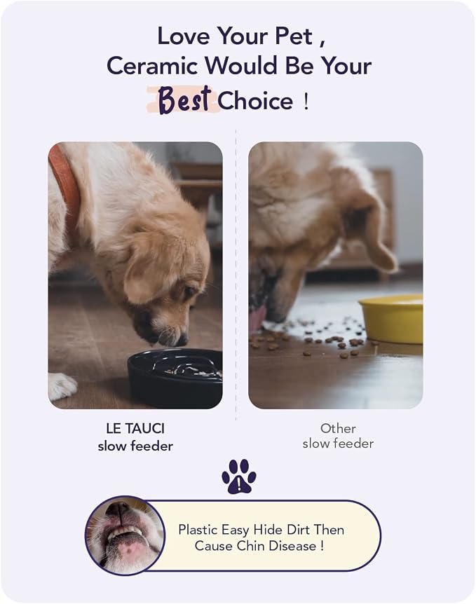 LE TAUCI Slow Feeder Dog Bowls Ceramic,3 Cups Slow Feeding Dog Bowl Medium Large Breed, Pet Bowl for Fast Eaters, Puzzle Pet Dishes, Pink Bloom - Image 7