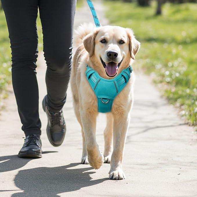 BARKBAY No Pull Dog Harness Large Reflective Dog Harness with Front Clip and Easy Control Handle for Walking Training Running with ID tag Pocket(Ocean Blue,L) - Image 9