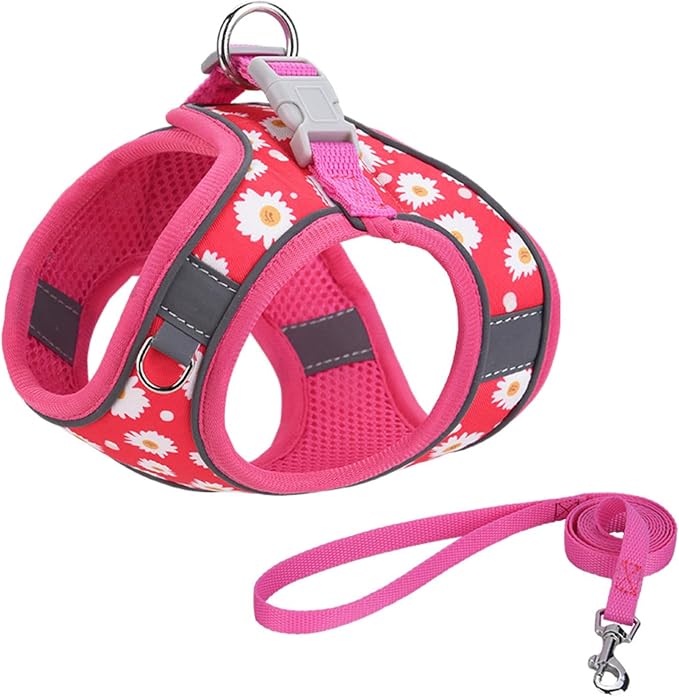 Step in Dog Harness No Pull Flower Adjustable Soft Mesh Harness | Padded Reflective Pet Vest Harness and Leash Set for Small Medium Dogs - Image 2