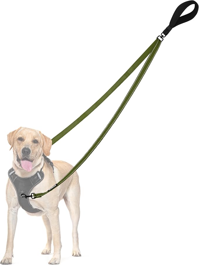 PetBonus Two Point Control Dog Leash, No Tangle Training Walking Leashes | Soft Padded Handle, Reflective, Works with No Pull Harnesses, Converts to Single Lead for Medium Large Dogs, Khaki Green by Petbonus