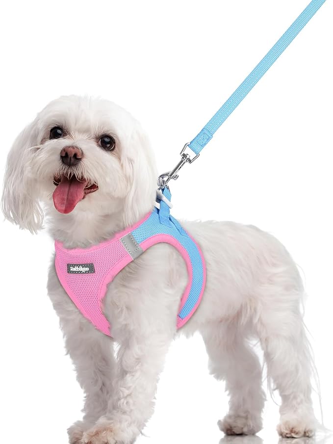 rabbitgoo Dog Harness Small Sized and Leash Set, Step-in Puppy Pet Vest | Light, Soft, Breathable Air Mesh, Easy on and Remove with Hook & Loop, Secure Reflective for Walking, Blue & Light Pink M by rabbitgoo
