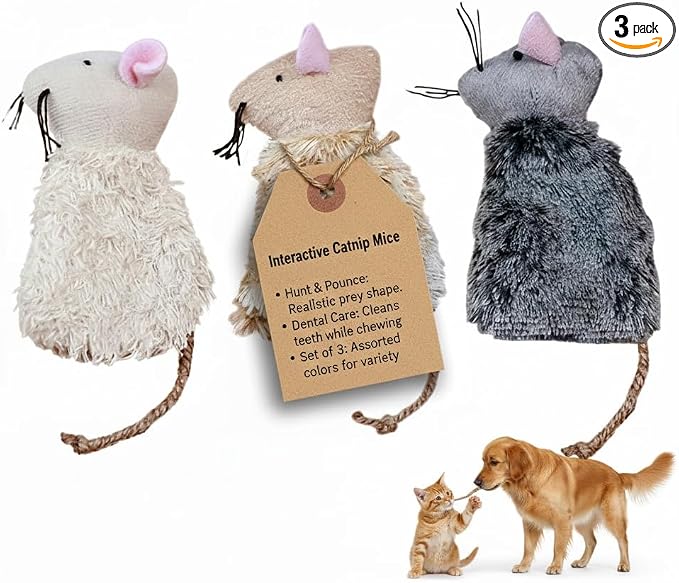 Ciieeo 3pcs Refillable Catnip Cat Toys for Indoor Cats & Kittens Plush Interactive Teething Chew Toy Mouse Shaped Catnip Pillow Assorted Colors by Ciieeo