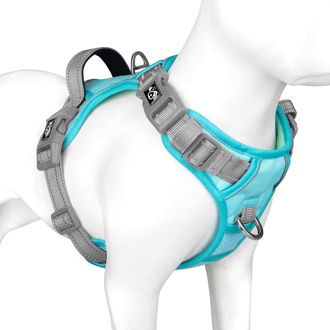No Pull Dog Harness, Unique Colors Reflective Adjustable Dog Vest, with Soft Training Handle Metal Clips for Small Medium Large Dogs (Mint Green Base & Grey Straps,L) by PHOEPET