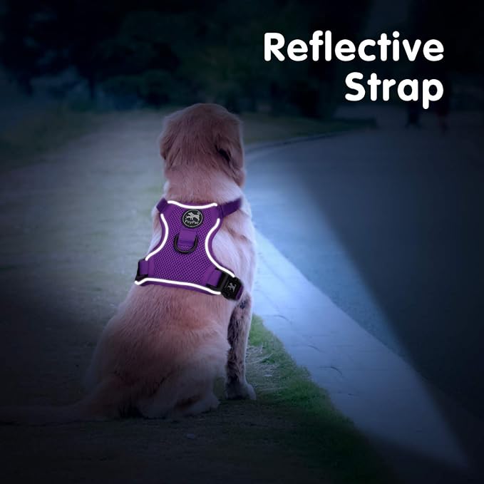 PoyPet Mesh Dog Harness, Reflective Breathable Puppy Vest for Small Dogs | Lightweight, Soft Air Mesh, Back D-ring, Adjustable, Comfortable, Double Padded, No Choke, for Daily Walking, S, Purple - Image 6