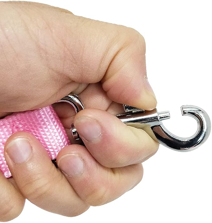 Nylon Dog Training Leash, Traction Rope, 4Ft /5 Foot /6 Feet Long, 5/8 inch 3/4 Inch 1 Inch Wide, for Small and Medium Dogs (3/4'' x 4 F, Pink) - Image 4