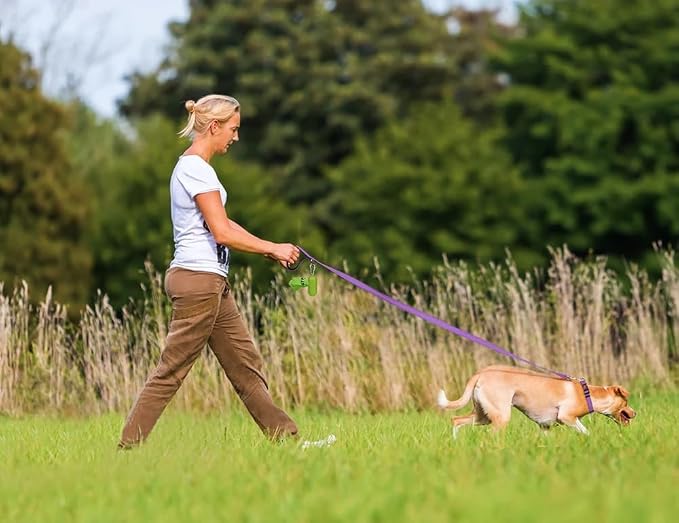 Taglory Reflective Dog Leash for Medium Large Dogs, 1in x 5ft, Purple | Ideal for Night Walking, Strong for Sudden Pulls, Lightweight & Gentle on the Neck, Soft Padded Handle - Image 7