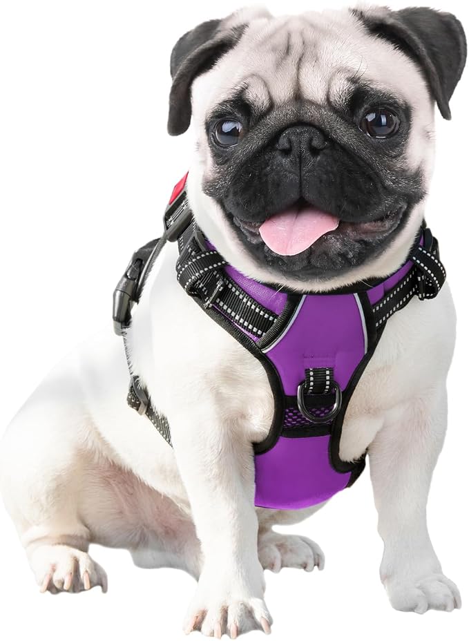 No Pull Dog Harnesses for Small Dogs Reflective Adjustable | Front Clip Vest with Handle 2 Metal Rings 3 Buckles [Easy to Put on & Take off](S, Purple) - Image 6