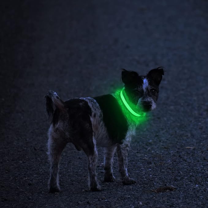 MASBRILL LED Dog Collar - Light Up Dog Collars Rechargeable - Waterproof Night Walking Glowing Dog Collar for Small, Medium, Large Dogs - Image 2