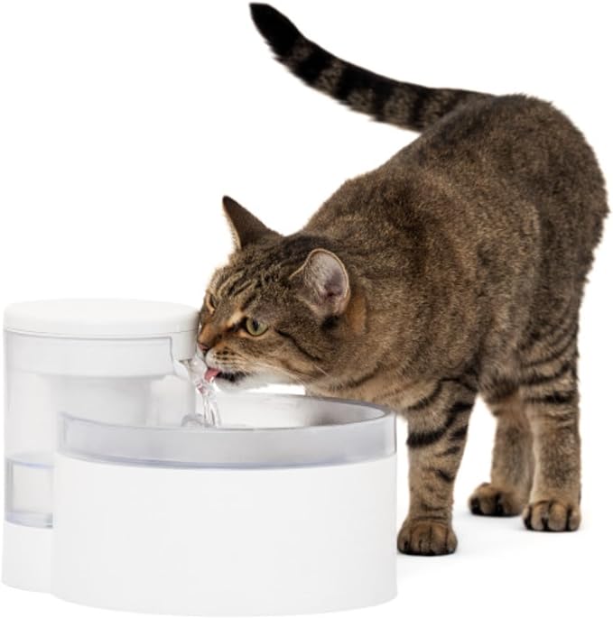 PetSafe Outlast Pumpless Cat Water Fountain, 60 oz/1.7L, Dishwasher Safe | Pumpless HydroSpin Design Circulates 60 Oz Water, Ion-x Carbon/Ion-Exchange Filter, Smart Sensors Slow Flow at Night - Image 2