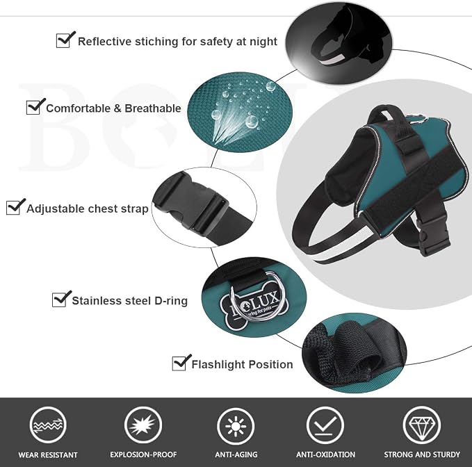 Dog Harness, No-Pull Reflective Dog Vest, Breathable Adjustable Pet Harness with Handle for Outdoor Walking - No More Pulling, Tugging or Choking (Turquoise, XS) - Image 2