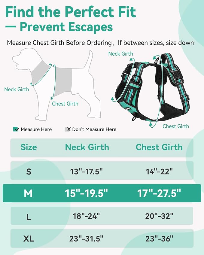 Joytale No Pull Dog Harness & Seat Belt, Easy On 3-Buckle, M, Teal | Front Clip Reduces Pulling, Escape-Resistant Design, Adjustable Fit, Soft Padding for Comfort, Secure Tether for Safer Travel - Image 8