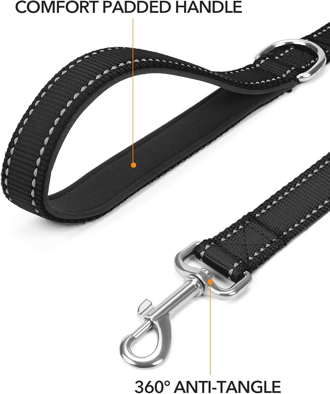 Taglory Reflective Dog Leash for Small Dogs, 3/4in x 5ft, Black | Ideal for Night Walking, Strong for Sudden Pulls, Lightweight & Gentle on the Neck, Soft Padded Handle - Image 2