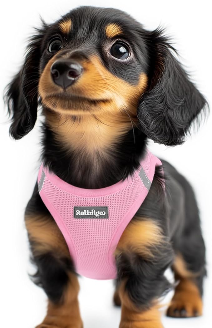 rabbitgoo Step-in Small Dog Harness, Puppy Vest for Small Sized Pet | Easy Put on and off, Lightweight, Soft, Breathable Quick-Dry Air Mesh for Comfortable Secure Walking, Light Pink XXS by rabbitgoo