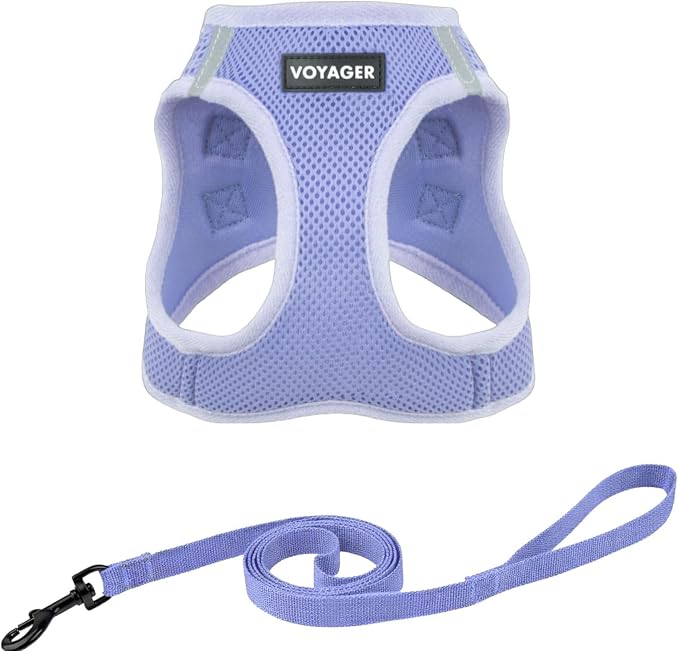 Voyager Step-in Air Cat Harness & Leash Set - Lavender, XS | 13.5 - 15" in Chest, Reflective Bands, All Weather Breathable Air Mesh, Cats Compatible, Fast Drying by BestPetSuppliesLLC