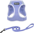 Voyager Step-in Air Cat Harness & Leash Set - Lavender, XXXS | 11 - 12" in Chest, Reflective Bands, All Weather Breathable Air Mesh, Cats Compatible, Fast Drying by BestPetSuppliesLLC