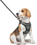 rabbitgoo Dog Harness Medium Sized and Leash Set, Step-in Puppy Pet Vest | Light, Soft, Breathable Air Mesh, Easy on and Remove with Hook & Loop, Secure Reflective for Walking, Black Zigzag L by rabbitgoo