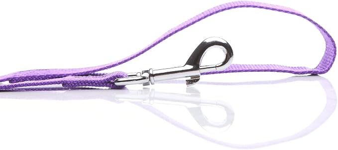 Nylon Dog Leash 4 Ft 5 Feet 6 Foot Long, Walking Training Dog Leashes for Medium Large Dogs, 1 Inch Wide (6ft, Purple) - Image 4