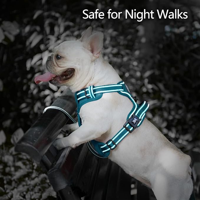 PoyPet No Pull Dog Harness, Reflective Vest with 2 Leash Clips & Handle | Lockable Neck Release Buckle, No Choke, Adjustable, Soft Padded, for Walking Training, Tumalo Teal, Large - Image 6
