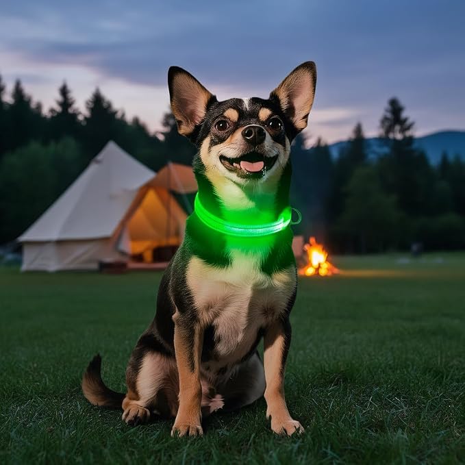 Light Up Dog Collar for Small Dogs - LED Dog Collar Rechargeable Adjustable Puppy Collars, Glow in The Dark Dog Lights for Night Walking（X-Small, Green） - Image 7