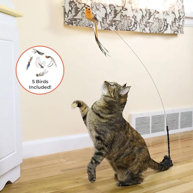 Whiskertons Interactive Bird Simulation Cat Toy Set, Interactive Cat Toys for Indoor Cats, Cat Feather Toy, Self-Holding Suction Base, 5 Replacement Birds, Feathers & Bells, Realistic Bird Impression - Image 3