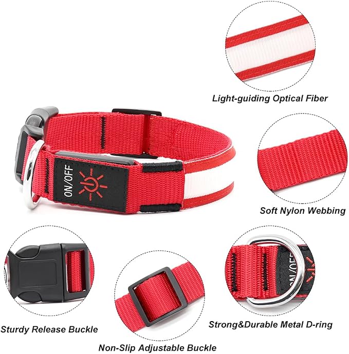 Illumifun LED Dog Collar, USB Rechargeable Light Up Dog Collars, Flashing Safety Dog Collar Glow in the Dark (Red, Medium) - Image 3