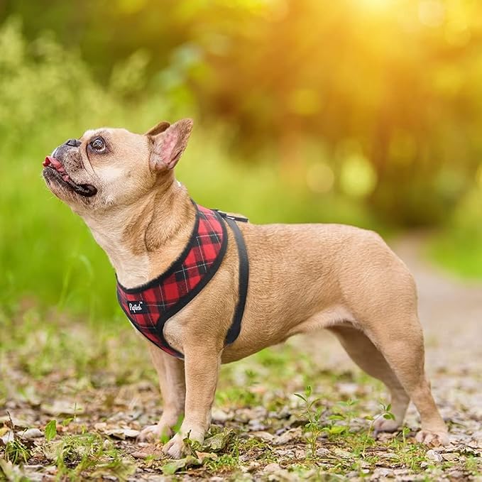 PUPTECK Small Dog Harness and Leash Set No Pull for XS XXS Sized Dogs Puppy | Escape Proof No Choke Pet Cat Adjustable Soft Padded Walking Vest - Image 6