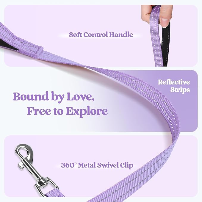 rabbitgoo Dog Harness Small Sized and Leash Set, Step-in Puppy Pet Vest | Light, Soft, Breathable Air Mesh, Easy on and Remove with Hook & Loop, Secure Reflective for Walking, Light Purple M - Image 6