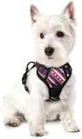rabbitgoo Dog Harness, No Pull for Small Dogs with 2 Leash Clips, Pet Vest | No Choke with Handle, Adjustable Soft Padded, Reflective, Easy Control for Walking, Red Stripe, X-Small by rabbitgoo