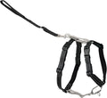 PetSafe 3 in 1 No-Pull Dog Harness - Walk, Train or Travel - Helps Prevent Pets from Pulling on Walks - Seatbelt Loop Doubles as Quick Access Handle - Reflective Accents - Small, Black | Rests on Chest Not Throat to Reduce Pulling, 5 Adjustment Points,... by PetSafe