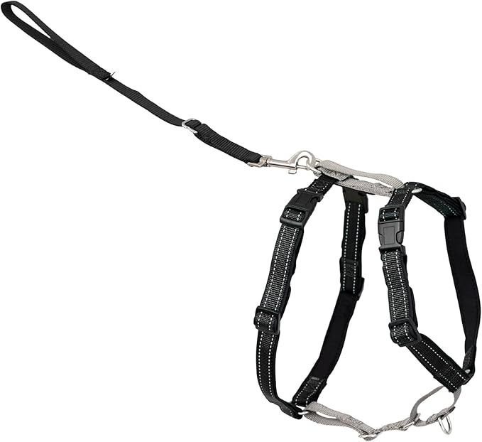 PetSafe 3 in 1 No-Pull Dog Harness - Walk, Train or Travel - Helps Prevent Pets from Pulling on Walks - Seatbelt Loop Doubles as Quick Access Handle - Reflective Accents - Large, Black | Rests on Chest Not Throat to Reduce Pulling, 5 Adjustment Points,... by PetSafe