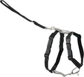 PetSafe 3 in 1 No-Pull Dog Harness - Walk, Train or Travel - Helps Prevent Pets from Pulling on Walks - Seatbelt Loop Doubles as Quick Access Handle - Reflective Accents - Large, Black | Rests on Chest Not Throat to Reduce Pulling, 5 Adjustment Points,... by PetSafe