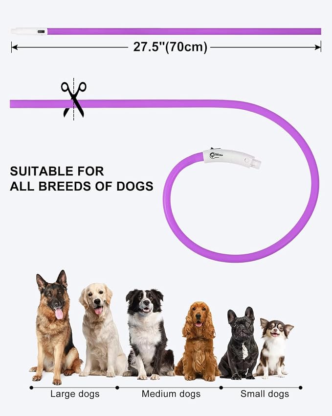 Joytale Light Up Dog Collar, LED Silicone Cut-to-Fit Rainproof, Purple | Soft Skin-Friendly Won't Chafe, 360° Glow Keeps Dogs Visible at Night, 3 Modes, Rechargeable USB-C, Small Medium Large Dogs - Image 6