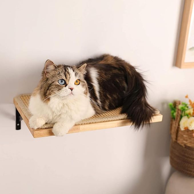 2 Pieces Cat Hammock Wall Mounted Floating Wall Shelf with Cat Scratching Mat Thick Solid Wood Cat Tree for Cat (2 Pieces Hammock) - Image 4