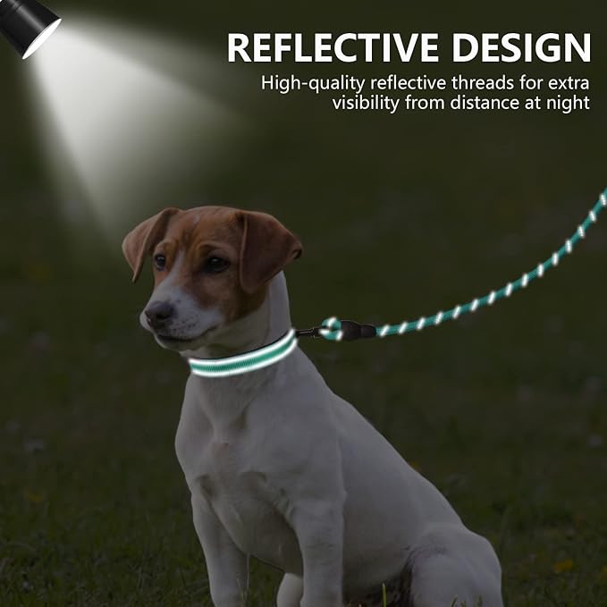 Dynmeow Reflective Dog Collar and Leash Set for Puppy Small Dogs, Teal | Soft Neoprene Padded, 6FT Climbing Rope, Ideal for Daily Outdoor Walking or Indoor Wearing, Night Visible for Safety - Image 4