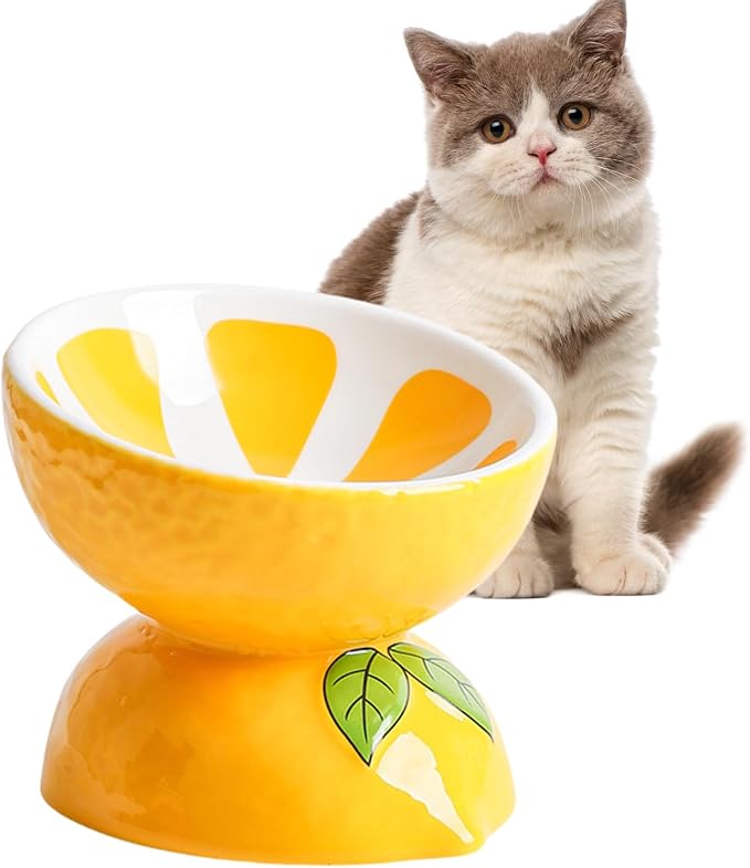 Elevated Cat Bowl Ceramic Raised Cat Food Water Bowls for Indoor Kitten | 5.2in Tilted Anti Vomiting Slow Feeder Cat Dishes, Whisker Friendly, Cute Lemon Design - Image 8