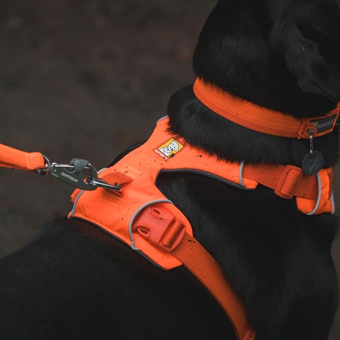 Ruffwear, Front Range Dog Harness, Reflective Soft Padded Everyday Harness with Dual Leash Clips, Adjustable and Lightweight Fit for Training or Walking for All Dogs, Blaze Orange, X-Small - Image 5
