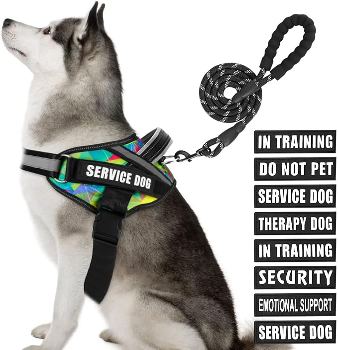 Service Dog Vest Harness and Leash Set, Animire in Training Dog Harness with 10 Dog Patches, Reflective Dog Leash with Soft Handle for Small, Medium, Large, and Extra-Large Dogs (Multi-Colored,XL) by Animire
