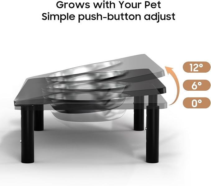 Adjustable Elevated Cat Bowls,6°/12° Tilted Cat Bowl Stand Anti-Vomiting | 3 Heights,Raised Cat Food and Water Bowl Set with Metal Stand,2 Stainless Steel Bowls for Cats and Puppy - Image 3