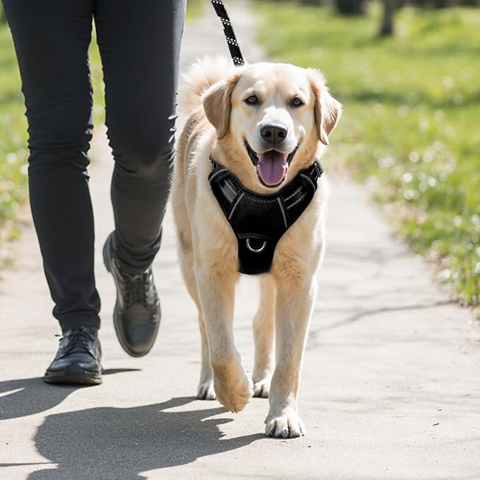 BARKBAY No Pull Dog Harness Large Reflective Dog Harness with Front Clip and Easy Control Handle for Walking Training Running with ID tag Pocket(Black,XL) - Image 9