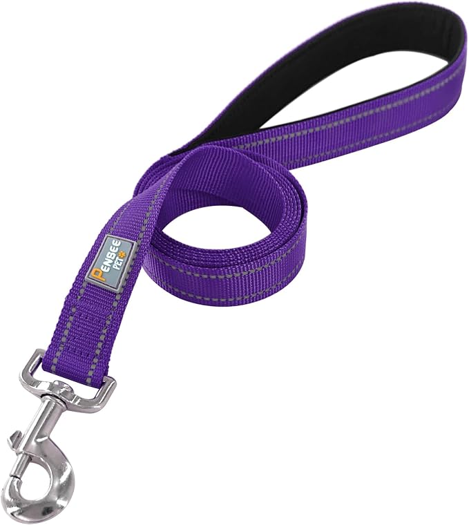 6 FT Basic Dog Leash for Large Dogs,Purple | Padded Handle,Metal D-Ring,Heavy Duty Nylon Webbing, for Walking & Training - Image 2