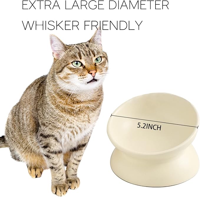Ceramic Raised Cat Bowl, Cat Food Bowls Elevated Tilted, Ceramic Pet Bowl Whisker Friendly, Anti Vomit & Reduce Neck Burden for Food and Water (Pink) - Image 5