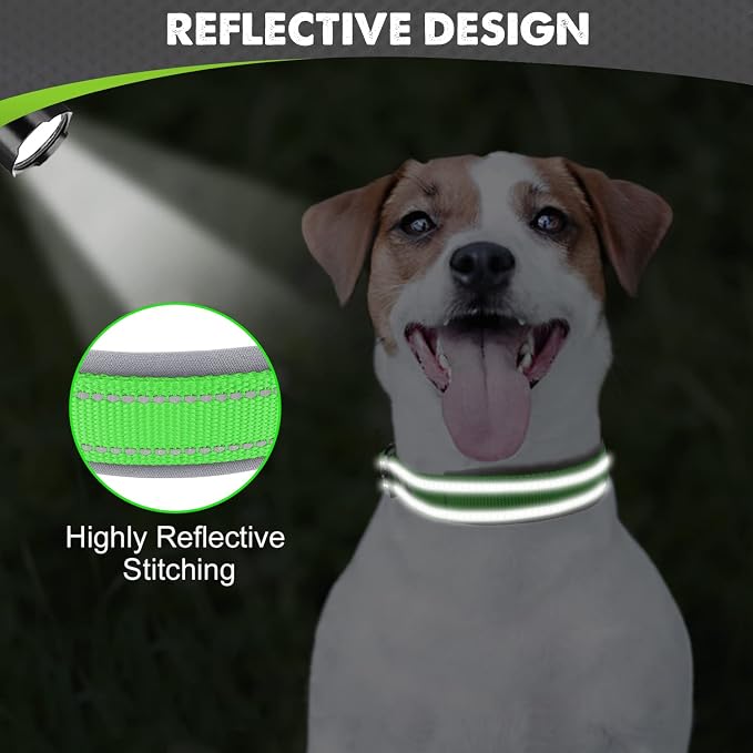 Joytale Reflective Dog Collar for Small Dogs with Wide Padding, Green | Soft Cushion Reduce Neck Strain, Night Safety Walking, Metal Buckle and Adjustable Eyelets, Separated Dog ID Tag Ring - Image 4