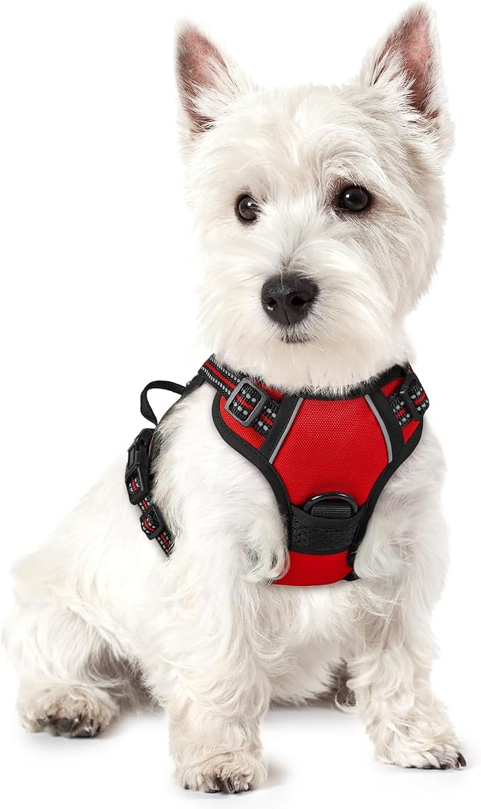 rabbitgoo Dog Harness, No Pull for Small Dogs with 2 Leash Clips, Pet Vest | No Choke, Adjustable, Breathable Padded, 2 Lead Rings, Reflective, Easy Control for Walking Training, XS, Red by rabbitgoo