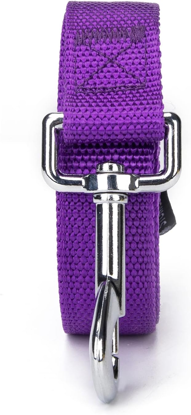 Strong Durable Nylon Dog Training Leash, 1 Inch Wide Traction Rope, 6 ft 10ft 15ft Long, for Small and Medium Dog (Purple, 15 Feet) - Image 6