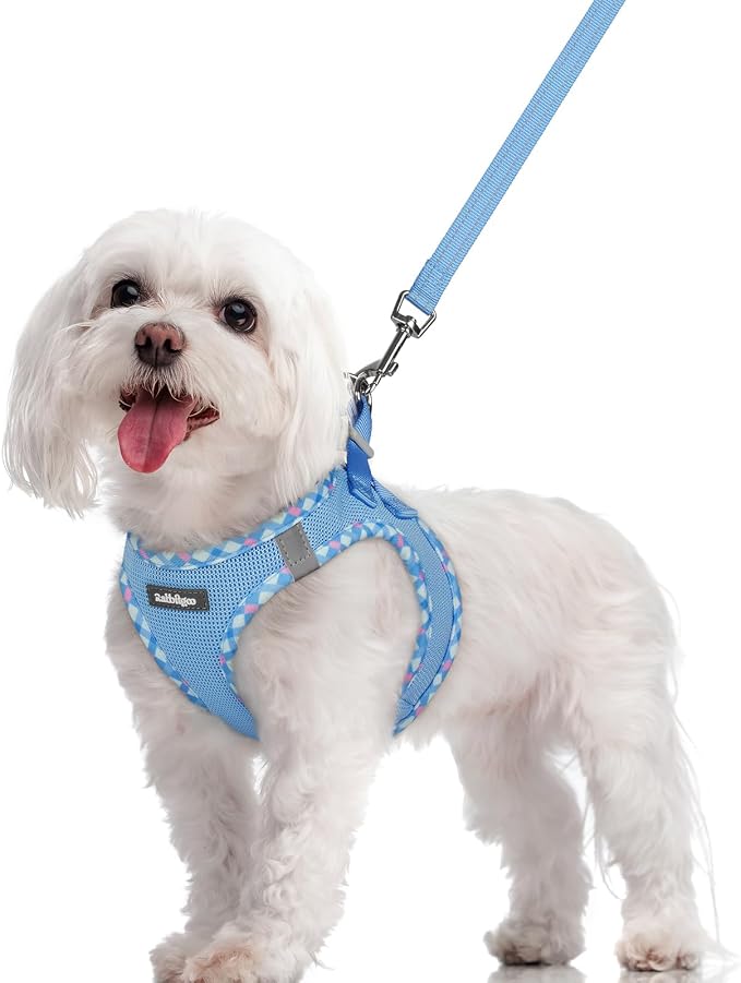 rabbitgoo Dog Harness Small Sized and Leash Set, Step-in Puppy Pet Vest | Light, Soft, Breathable Air Mesh, Easy on and Remove with Hook & Loop, Secure Reflective for Walking, Blue & Plaid Trim M by rabbitgoo