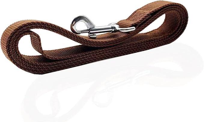 Nylon Dog Leash 4 Ft 5 Feet 6 Foot Long, Walking Training Dog Leashes for Medium Large Dogs, 1 Inch Wide (1" X 4 ft, Brown) - Image 3