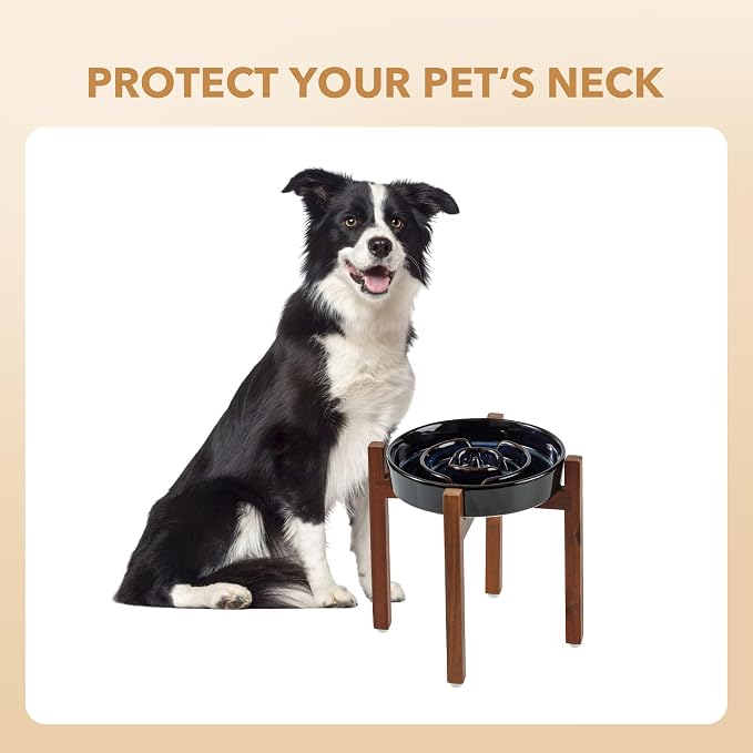 Havniva Raised Slow Feeder Dog Bowls, Elevated Dog Bowls Slow Feeder | 1.6 Cups Ceramic Dog Bowl Elevated with Acacia Wood Stand, Raised Dog Food Bowl, Puzzle Slow Feeder for Medium Dogs, Non-Slip - Image 8