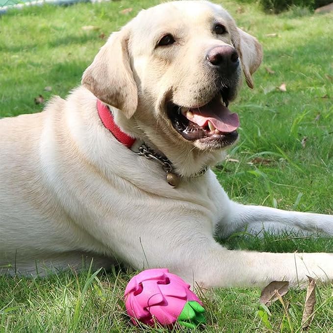 AUSCAT Dog Treat Dispensing Toys, Dispensing Puzzle Dog Toy, Rubber Dog Treat Dispenser, Interactive Stimulation Dog Food Toys, Pitaya Shape - Image 8