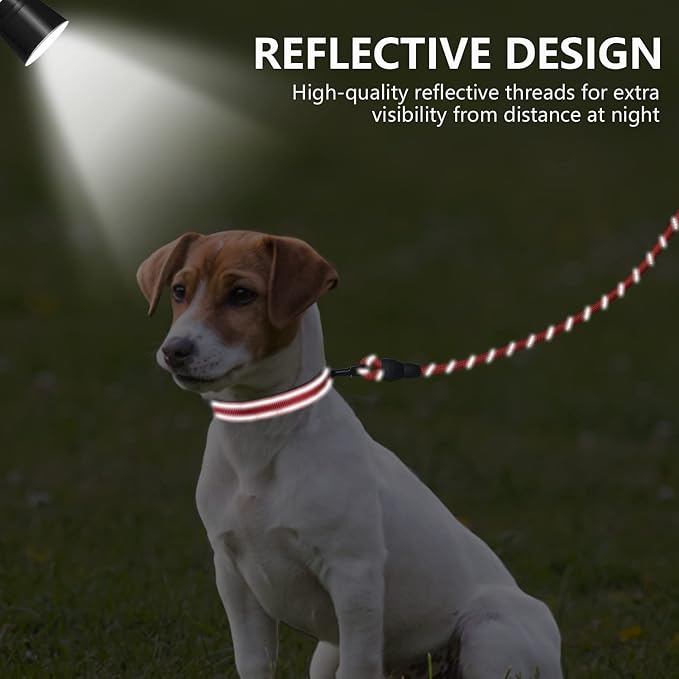 Dynmeow Reflective Dog Collar and Leash Set for Puppy Small Dogs, Red | Soft Neoprene Padded, 6FT Climbing Rope, Ideal for Daily Outdoor Walking or Indoor Wearing, Night Visible for Safety - Image 4