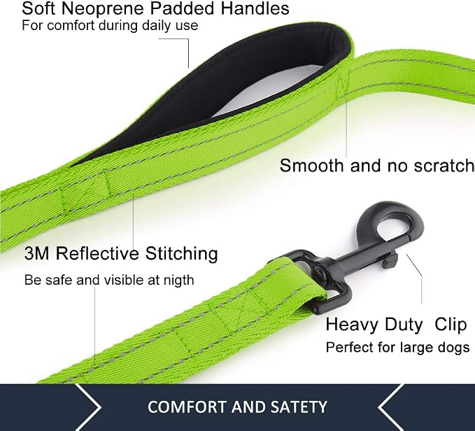 Plutus Pet Double Handle Dog Leash, 5 FT Long, for Medium Large Dogs | Reflective Nylon, Soft Padded 2 Handles, Heavy Duty for Training, Dual Handle Lead, 5 FT x 1”, Green - Image 2